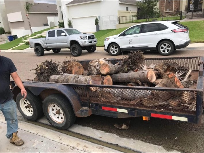 After palm cleanup and hauling by Del Valle Landscaping